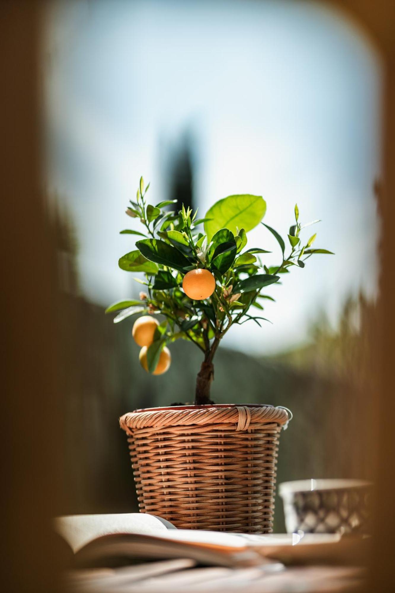 Rovezzano B&B Firenze Kültér fotó